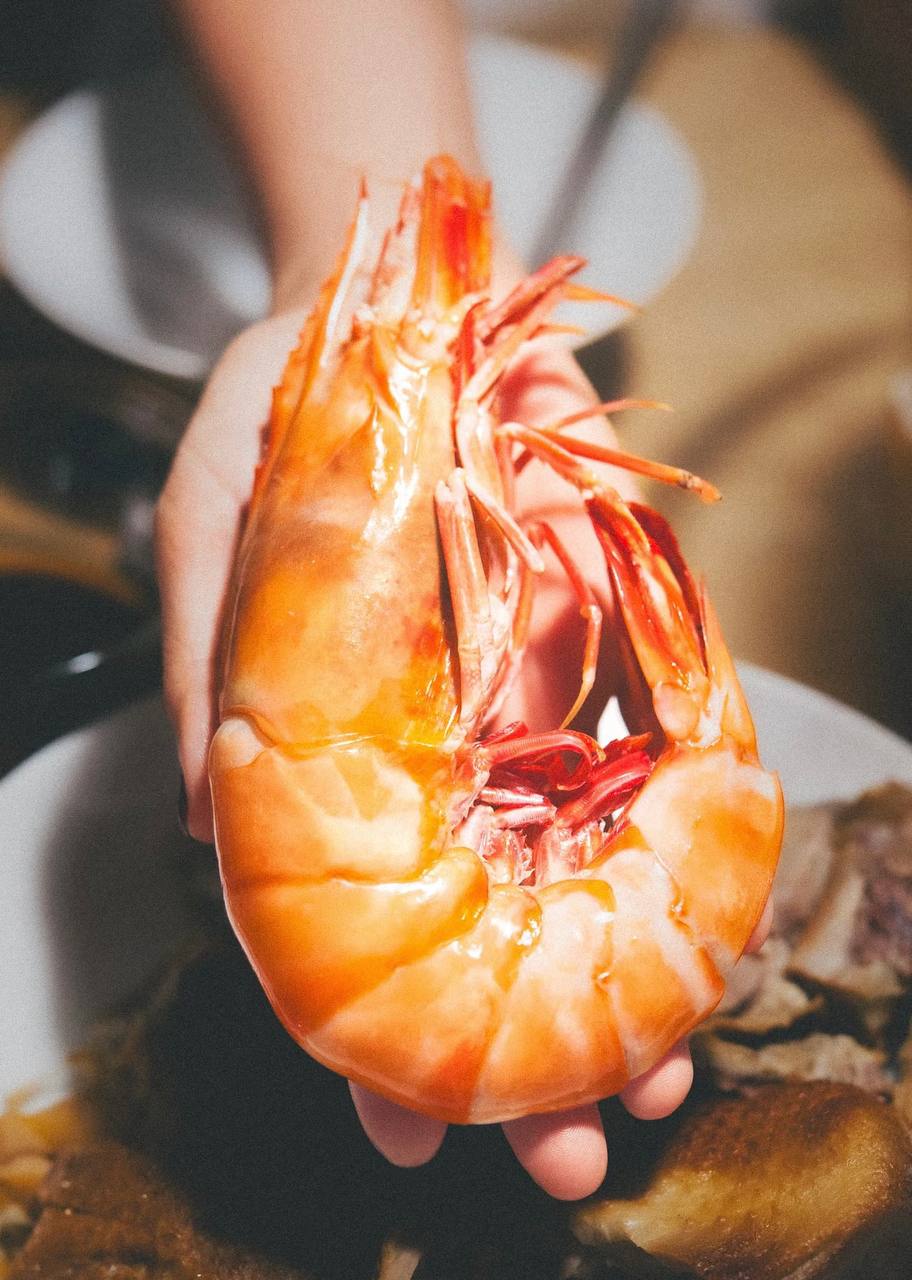Colossal Black Tiger Prawns