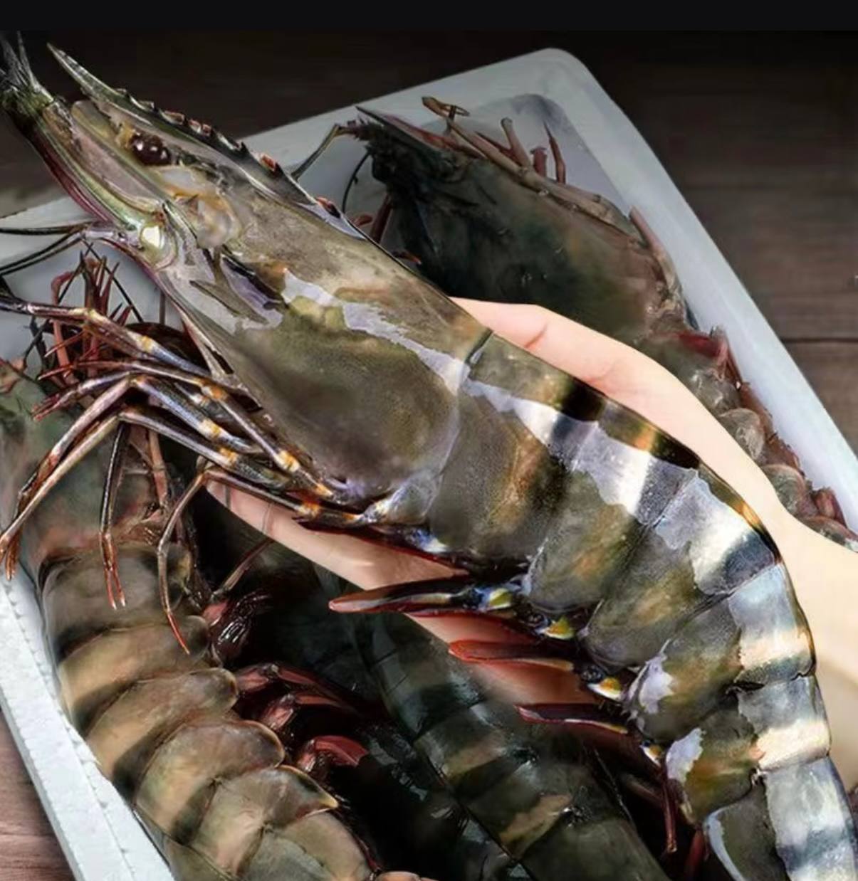 Colossal Black Tiger Prawns
